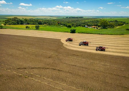 A solução para um futuro sustentável está na agricultura