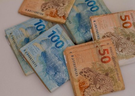 Negociações lentas e preços em queda: confira as cotações da soja no Brasil