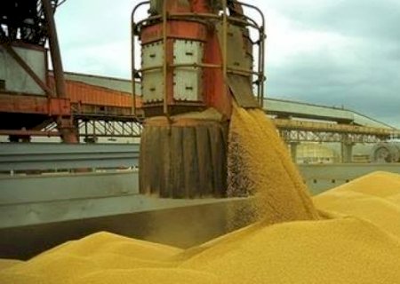 Brasil deve ter safra de 354,8 milhões de toneladas de grãos em 2025/26