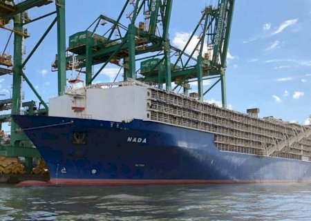 Exportação de gado vivo “naufragou” em outubro, mas recorde histórico está perto