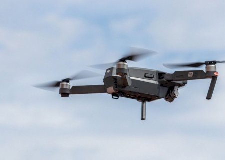 Uso de drones ajuda a revolucionar manejo de pastagem no Brasil; confira
