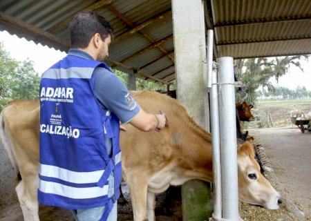 Raiva em bezerro acende alerta no Paraná e reforça urgência da vacinação