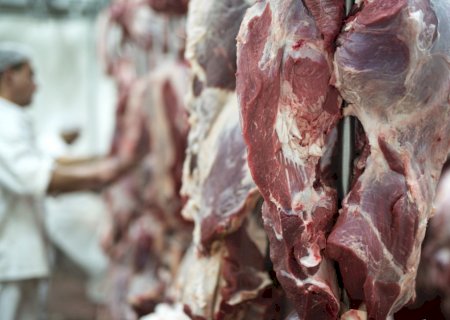 Brasil exporta quantidade recorde de carne bovina e arroba volta a subir