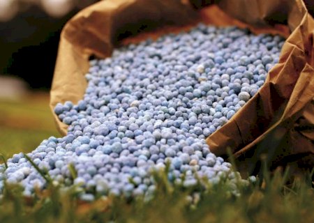 Relação de troca melhora e abre espaço para antecipação de compras de fertilizantes