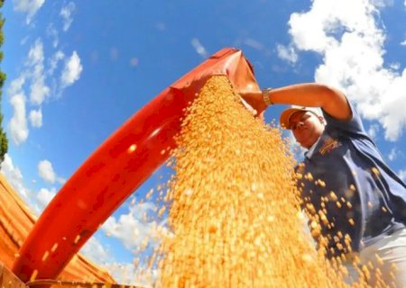 Agropecuária ajudou oito estados a crescerem mais que o Brasil em 2023