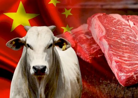 China em alerta: risco de novo embargo à carne brasileira; entenda o motivo