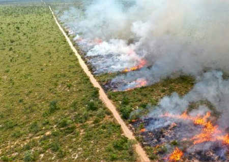 Seminário sobre Manejo Integrado do Fogo antecipa soluções de enfrentamento e prevenção a incêndios florestais