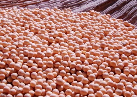 Após relatório do USDA, soja americana perde atratividade; foco no Brasil é situação climática