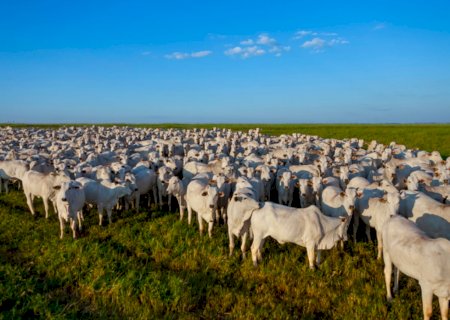 Brasil conquista novas aberturas de mercado no Líbano e na Tanzânia