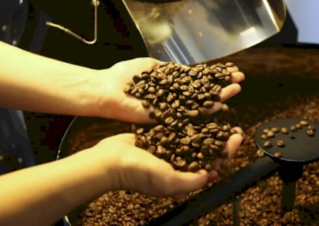 EUA reduzem tarifas para café, laranja, carne bovina e outros produtos