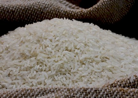 Queda no preço do arroz força produtores a diminuir plantio