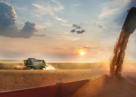 Soja e milho puxam as exportações do agro em novembro