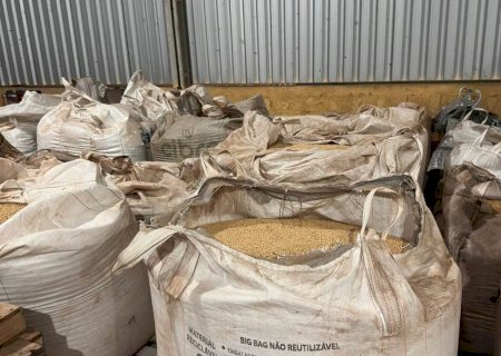 Balanço anual aponta apreensão de 850 toneladas de sementes suspeitas no Brasil