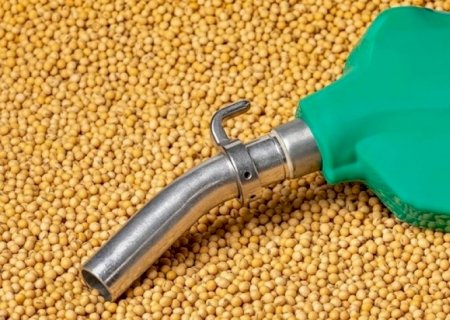 PIB da cadeia de soja e biodiesel deve crescer 11% em 2025