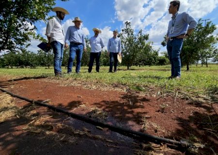 Governo avança em capacitações do MS Irriga e destaca potencial para irrigar 4 milhões de hectares