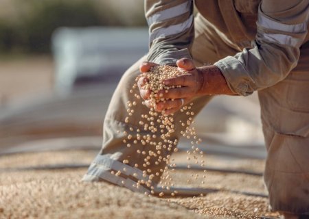 Novos contratos de renegociação podem custar ao produtor a própria fazenda