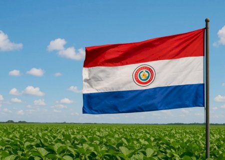 Safra de soja do Paraguai deve alcançar 10,5 milhões de toneladas após desafios climáticos