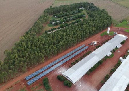 Programa Frango Vida fortalece avicultura e estimula projeto de escola avícola em Mato Grosso do Sul