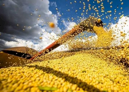 PIB do agro impulsiona outros setores, mas 2026 deve trazer desafios