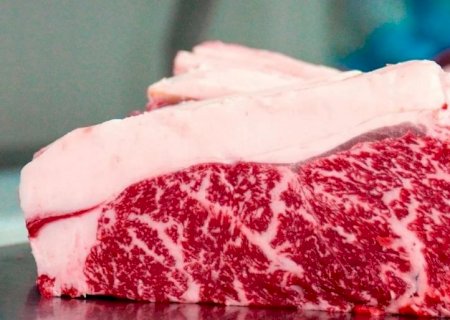 Comissão Europeia recolhe carne bovina brasileira após detectar hormônios proibidos