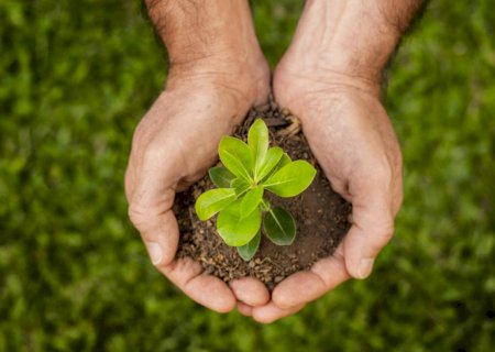 Bioinsumos produzidos na propriedade ganham peso estratégico e ampliam autonomia do agricultor