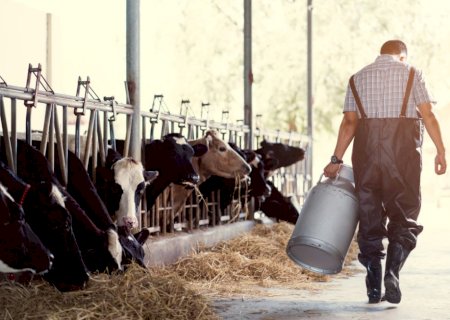 Crise no Leite: Movimento de desvalorização persiste no campo; até quando?