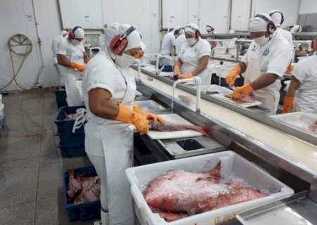 Sem EUA, setor de pesca deixa de exportar US$ 250 milhões
