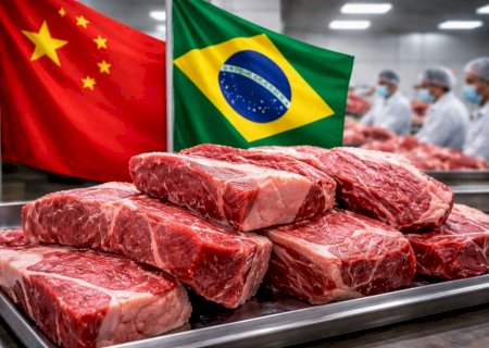 Em investigação, China vê “dano grave” à indústria de carne bovina e acende alerta no Brasil