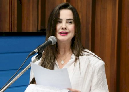 Mara Caseiro pede apoio do Estado para agricultores de Paraíso das Águas