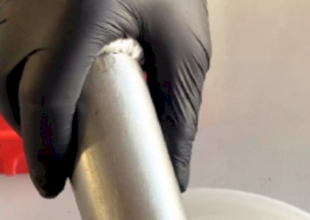 Melaço de cana-de-açúcar ganha protagonismo na nutrição animal