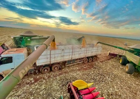 Produtores antecipam contratação de seguro para a safrinha de milho diante de clima incerto