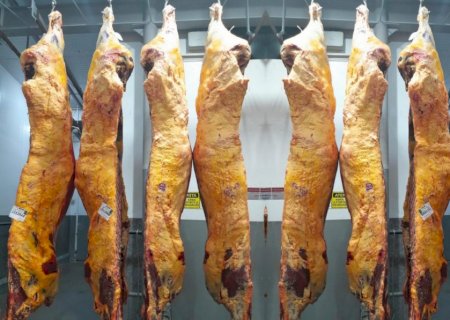 Exportações de carne bovina do Brasil dispara na primeira semana de dezembro frente a 2024