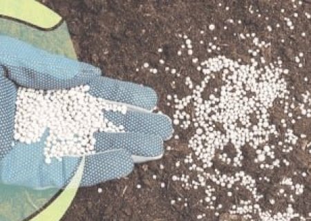 China ultrapassa Rússia e assume liderança no fornecimento de fertilizantes ao Brasil
