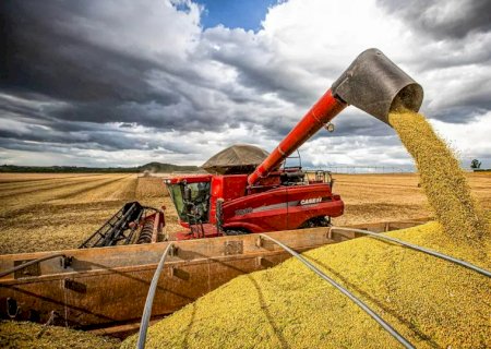 Confira o calendário de 2026 de levantamentos das safras agrícolas e do mercado hortigranjeiro