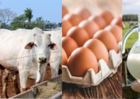 Pecuária lidera e sustenta avanço do agro cearense em 2025