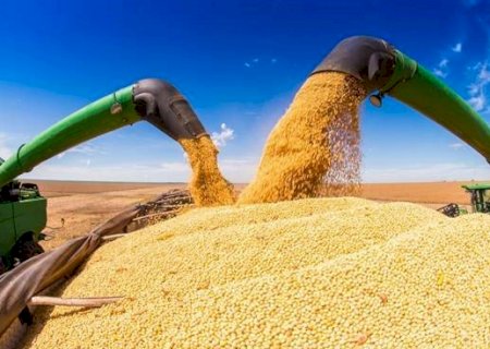 VBP da soja retoma crescimento e deve alcançar R$ 325,9 bilhões em 2025