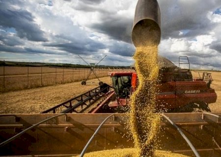 Brasil inicia colheita recorde de soja em fase de muita oferta