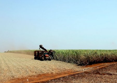 IBGE prevê safra recorde de 346 milhões de toneladas em 2025