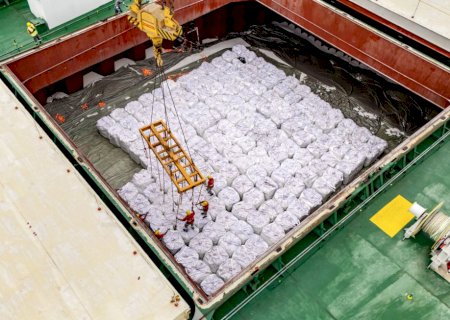 Poder de compra do produtor recua com queda das commodities e pressão cambial