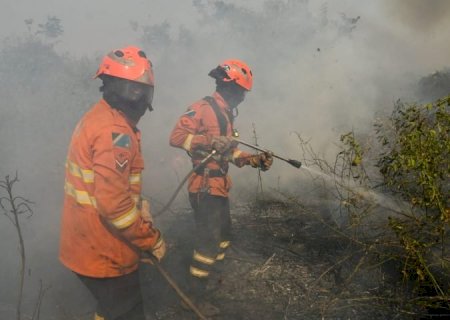 MS reforça planejamento contra o fogo e mobiliza Corpo de Bombeiros no combate a focos no Pantanal