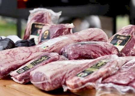Exportação de carne Angus certificada cresceu 260% e bateu recordes em 2025