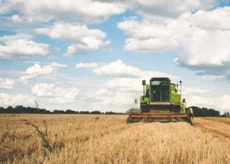 Inadimplência no agro pressiona bancos, e crédito deve ficar mais restrito
