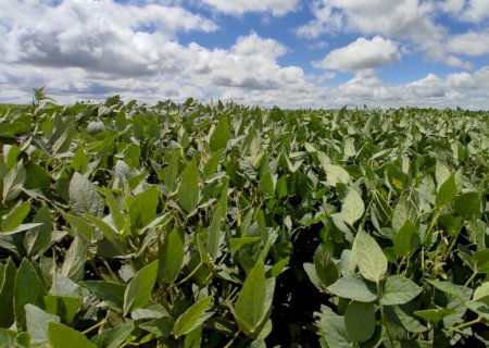 A força do agro impulsiona a economia e garante o desenvolvimento do Brasil