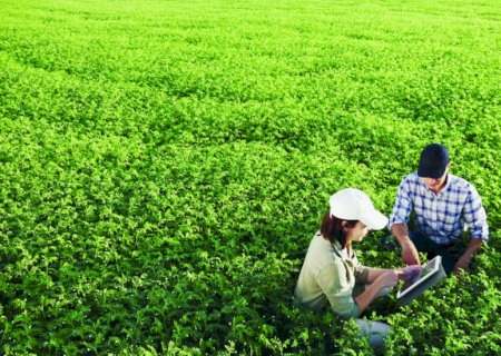 Crédito rural empresarial cresce 6% no Plano Safra 2025/26 impulsionado pelo avanço da CPR