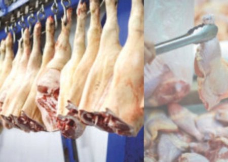 Exportações de carne de frango e suína iniciam 2026 com crescimento nos embarques