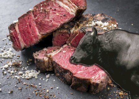 Rebanho das raças Wagyu avançam no Brasil e revela nova era da pecuária de carnes premium