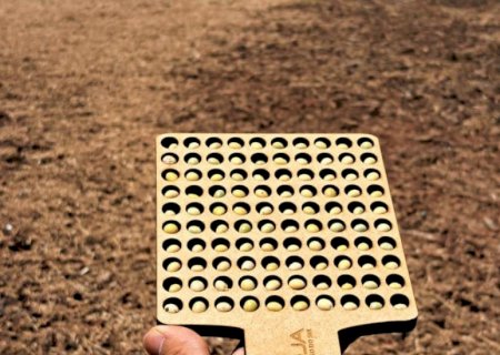 Colheita da soja alcança 6,2% e plantio do milho atinge 5,8% em MS