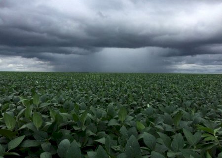 Chuvas irregulares entre março e maio exigem alerta dos produtores de MS