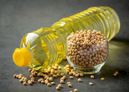 Avanço dos biocombustíveis e certificação digital impulsionam competitividade do setor de óleos vegetais