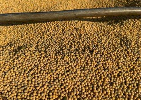 Exportações de soja e milho  garantem superávit de US$ 462 milhões em MS